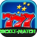 all cricket match Pro Edition v1.1.2