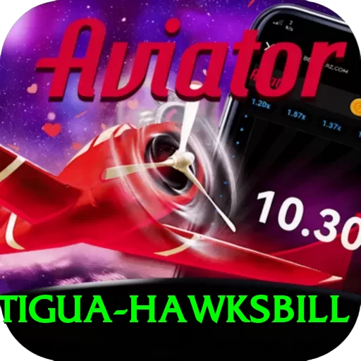 antigua hawksbill Max Pro v5.8.5 - 2