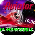 antigua hawksbill Max Pro v5.8.5