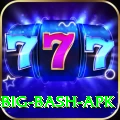 bbl big bash apk Apps (Tools & Injectors) Turbo v2.4.0