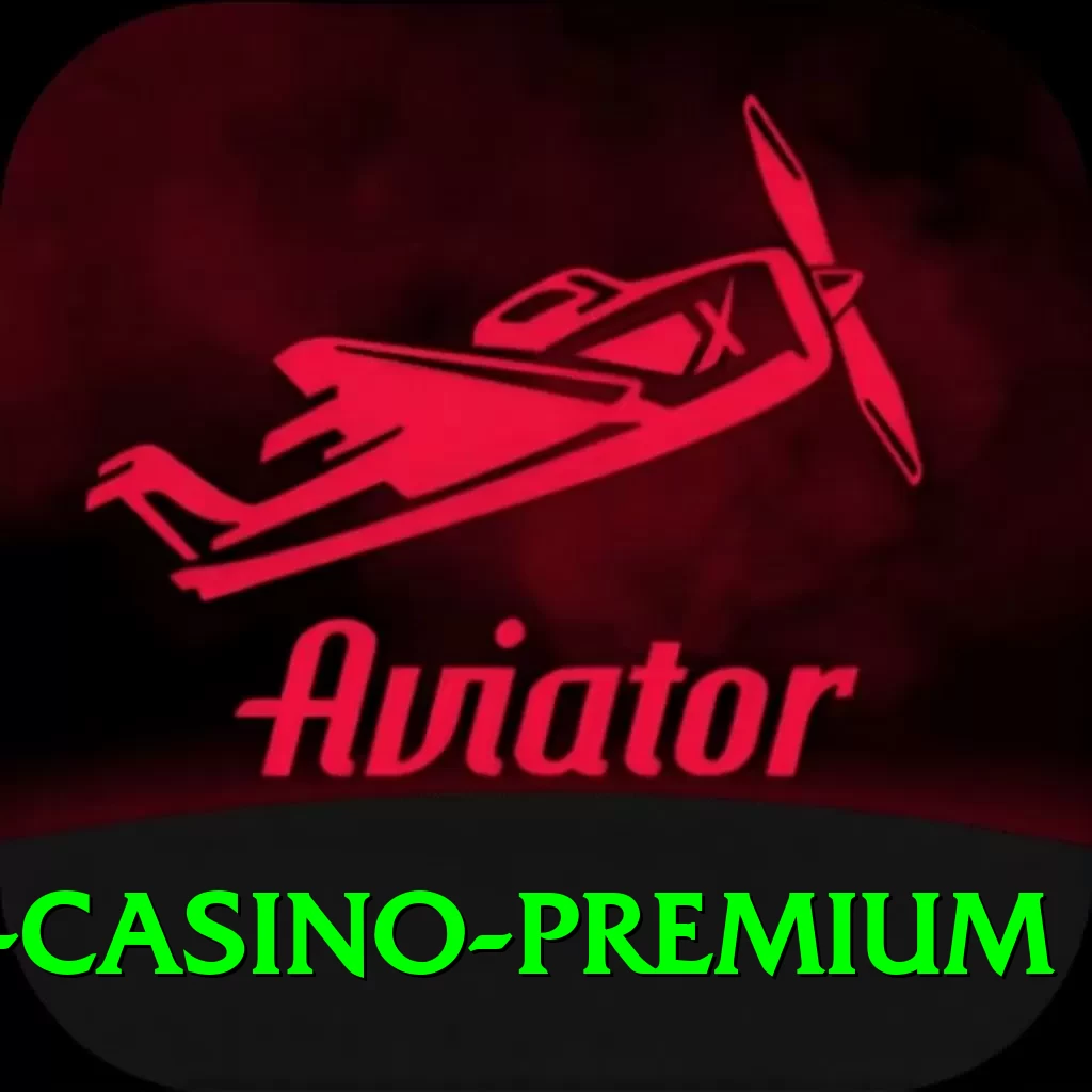 Big Winner Game - Casino Premium - 2