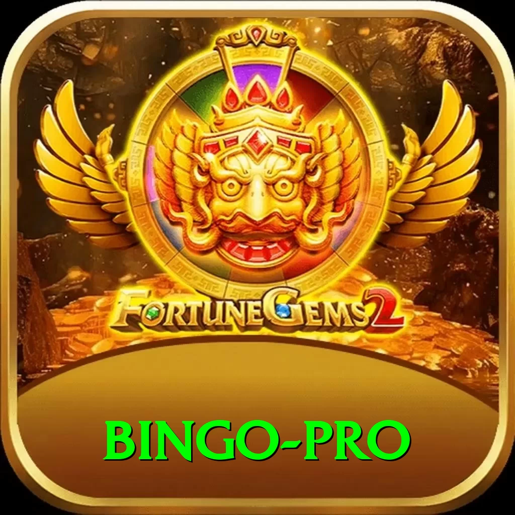 bingo Prime Gaming App - 2
