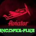 bingopkr Apps (Tools & Injectors) Master v5.8.0