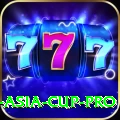 cricket asia cup Deluxe - Free Download
