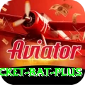 cricket bat Legend v3.8.8
