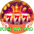 cricket bat Casino Prime v5.6.0