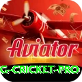 eng cricket Ultimate PK v4.3.8