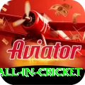 fastest ball in cricket Turbo Pro v3.8.5