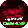 grass carp Max v1.7.3