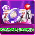helambu rhododendron Games (Casino & Earning) Gold v1.7.5