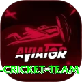 hong kong cricket team Premium v1.3.2