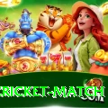 india cricket match Apps (Tools & Injectors) Plus v4.8.7