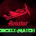 india newzealand cricket match Deluxe v4.2.5