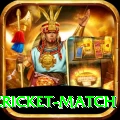 india pakistan cricket match Deluxe Pro v3.5.4