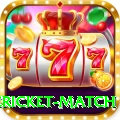 international cricket match Gold Edition v4.9.7