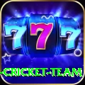 ireland cricket team Elite Pro v4.0.2