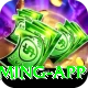 Live Casino Pakistan Extreme Gaming App
