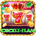 netherlands cricket team VIP Pro v2.7.2