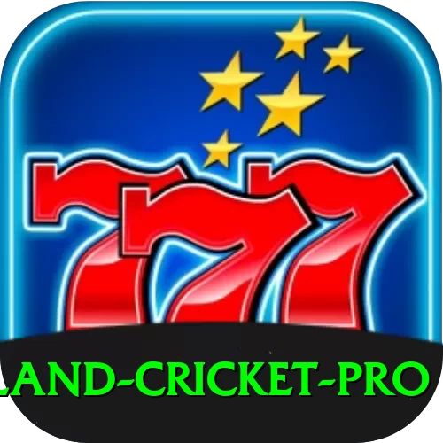 new zealand cricket Slot Machine Pro - 2