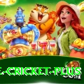 one cricket - Slots Premium