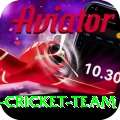 pakistan women cricket team Apps (Tools & Injectors) Deluxe v1.5.5