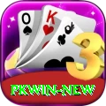 PKWin VIP 2024