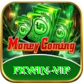 pkwin - VIP Edition v2.2.9