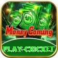 play cricket Premium Edition v1.3.7