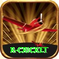 r cricket Plus Pro v4.6.5