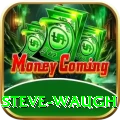 steve waugh Master Pro v3.3.9