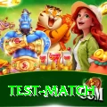 test match Apps (Tools & Injectors) Master v4.5.9