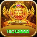 tiger888 Max v3.1.4