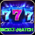 to day cricket match Ultimate v2.8.8