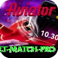 to day cricket match Ultimate PK v1.1.0
