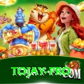 tojay Games (Casino & Earning) Max v4.6.9