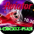 virat kohli cricket Casino Pro v4.4.1