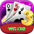 wc t20 Deluxe v5.7.3