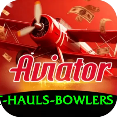 wicket hauls bowlers Premium Edition v1.8.5 - 2