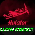 willow cricket Gold Pro v4.8.3