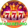 willow cricket Casino Official v5.0.1